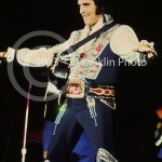 8631 Elvis in concert